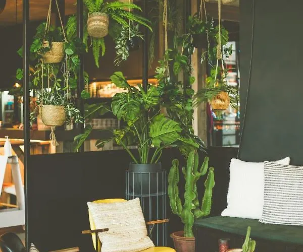 Lakeside Paradise Sport Knokke-Heist